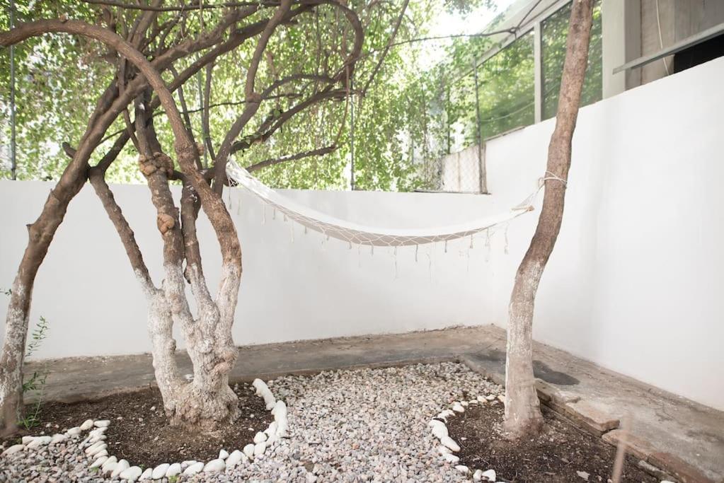Luxury Studio With Garden Next To Acropolis Athen Exterior foto